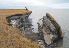 Image of collapsed permafrost